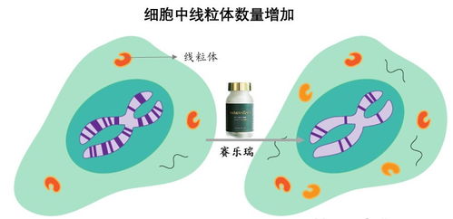 規(guī)劃150歲人生 生物科技拐點將至，國際資本已搶灘登陸