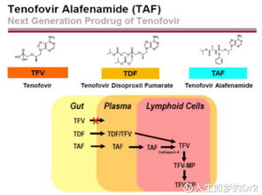 人生如夢的DR2 吉利德為何為HIV新藥動(dòng)用第二張?zhí)靸r(jià)優(yōu)先審評券？